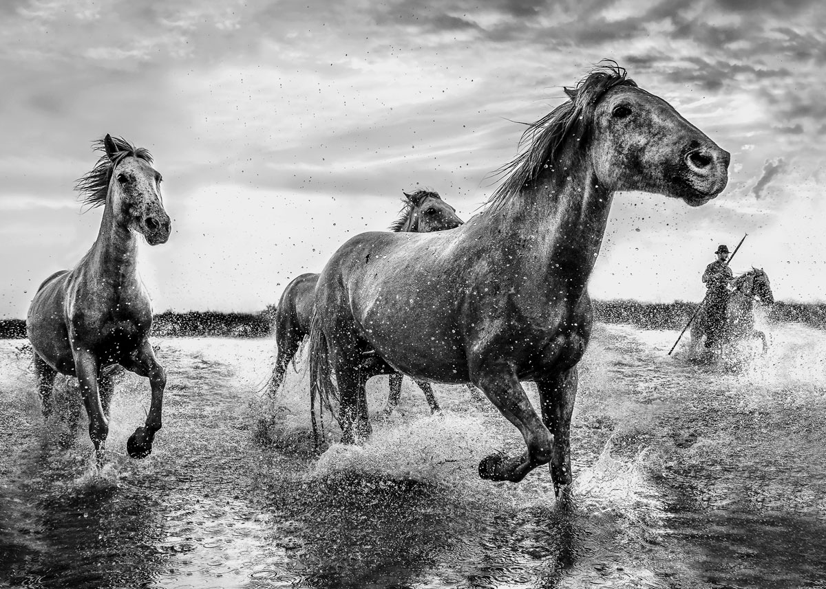 l esprit de camargue